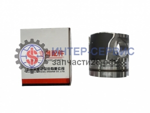 Поршень G05-101-09+B