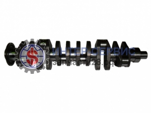 Вал коленчатый WP12 612630020038
