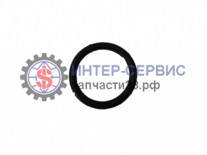 Кольцо уплотнительное блокировки МОД 06.56331.3274