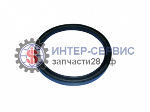 Кольцо уплотнительное 13B0171